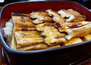 Grilled Eel with Unagi Sauce Recipe - TheRecipe.Website