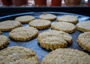Porridge Oat Biscuits Recipe - TheRecipe.Website