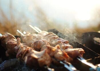 Turkish Chicken Kebabs Recipe - TheRecipe.Website