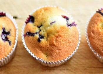 Multi Berry Muffins Recipe - TheRecipe.Website