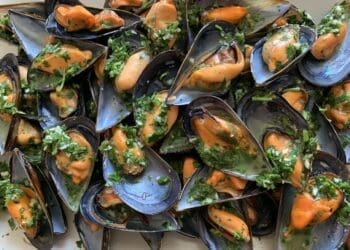 Garlic Mussels Recipe - TheRecipe.Website