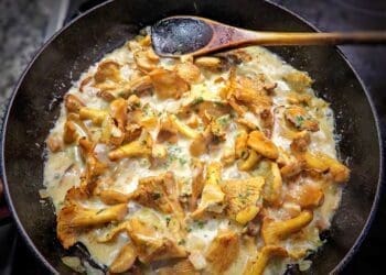 White Wine and Chanterelle Sauce Recipe - TheRecipe.Website