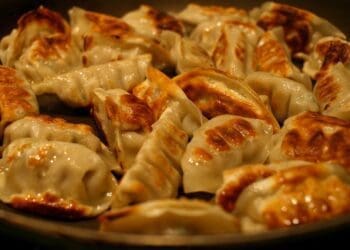 Pork Gyoza Recipe - TheRecipe.Website