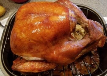 Thanksgiving Turkey Recipe - TheRecipe.Website