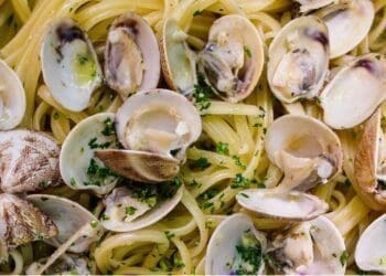 Spaghetti and Clams in a Wine Sauce Recipe - TheRecipe.Website
