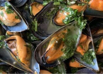 Steamed Mussels in a White Wine Sauce Recipe - TheRecipe.Website