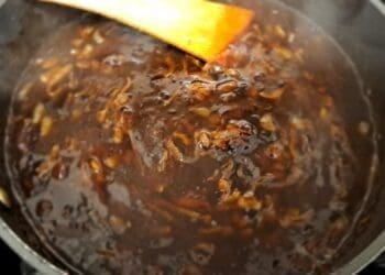 Amazing Onion Gravy Recipe - TheRecipe.Website