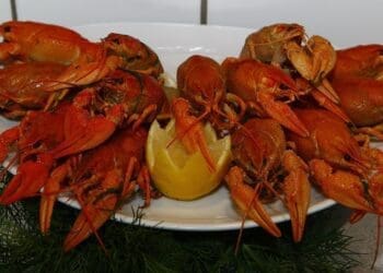 Simply Perfect Crayfish Recipe - TheRecipe.Website