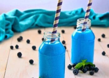 Beautiful Blueberry Smoothie Recipe - TheRecipe.Website