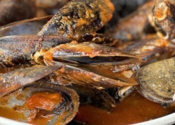 Mussels in Tomato Sauce Recipe - TheRecipe.Website