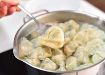 Chinese Pork and Cabbage Dumplings Recipe - TheRecipe.Website