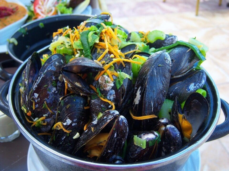 Steamed Mussels with Cheese Recipe - TheRecipe.Website