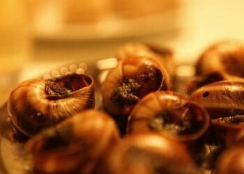 Gorgeous Garlic Snails Recipe - TheRecipe.Website