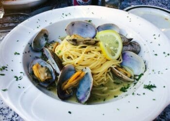 Linguini Vongole Recipe - TheRecipe.Website