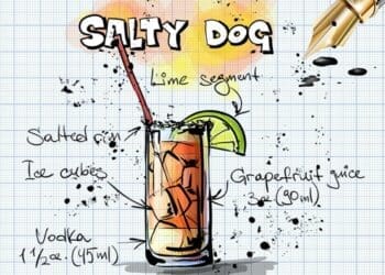 Salty Dog Cocktail Recipe - TheRecipe.Website