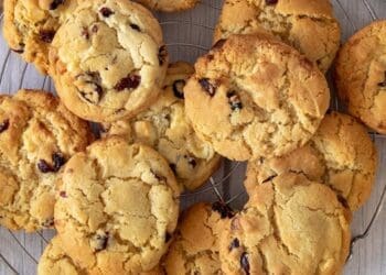 Homemade Chocolate Chip Cookies Recipe - TheRecipe.Website