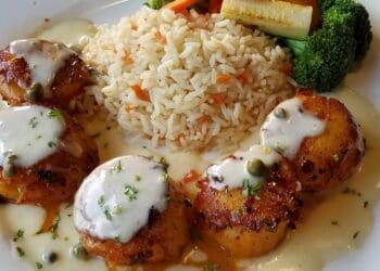 Pan Fried Scallops with Cream Sauce Recipe - TheRecipe.Website