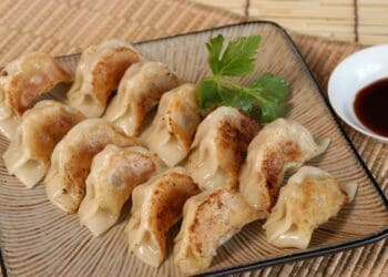 Turkey Gyoza Dumplings Recipe - TheRecipe.Website