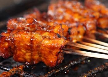 Succulent Chicken Satay Recipe - TheRecipe.Website