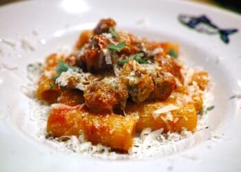 Beef Ragu Rigatoni Recipe - TheRecipe.Website