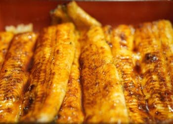 Unadon - Grilled Eel Recipe - TheRecipe.Website