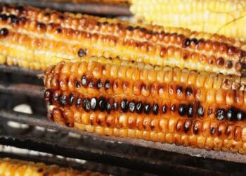 Barbecue Corn on the Cob Recipe - TheRecipe.Website