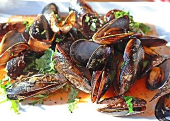Spicy Mussels Recipe - TheRecipe.Website