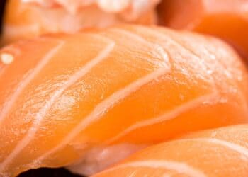 Niguiri Salmon Sushi Recipe - TheRecipe.Website