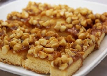 Macadamia Bites Recipe - TheRecipe.Website