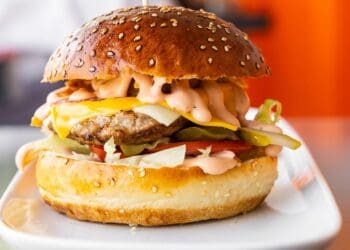 Spicy Mayonnaise Burger Recipe - TheRecipe.Website