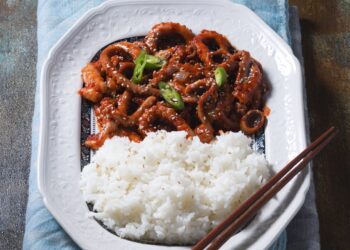 Octopus Rice Recipe - TheRecipe.Website